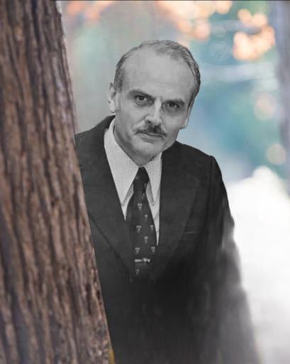 Ted Codd looks into your soul